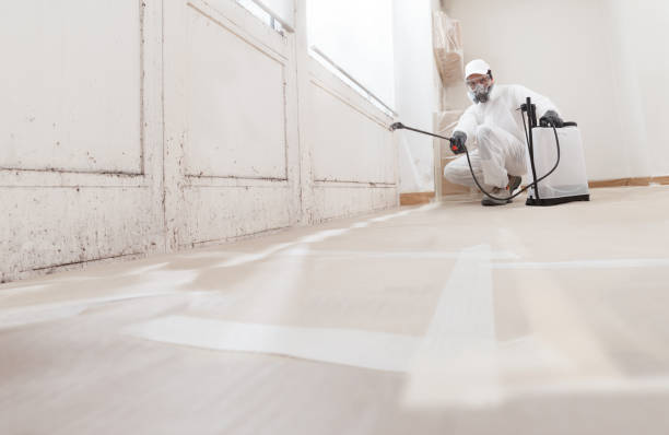 24/7 Emergency Basement Mold Remediation experts in Richland, PA